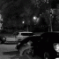 Бродячие стаи псов разрывают на части авто на парковках - видео - КТВ-ЛУЧ