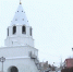 Торговцы высылали на хлебный рынок целую стаю «мартышек» - КТВ-ЛУЧ