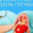Врачи рассказали, от чего нужно срочно отказаться, чтобы почки не отвалились - КТВ-ЛУЧ