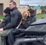Видео: пропавшие 10-летняя Вика и 12-летний Гриша четыре дня спали в лесу в обнимку с собаками и питались яйцами - КТВ-ЛУЧ