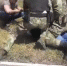 Любовь зла, полюбишь и козла: ОМОН поставил жирную точку в деле похищения девицы - видео - КТВ-ЛУЧ