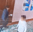 Шестиклассник с ножом набросился в школе на нелюбимую учительницу - КТВ-ЛУЧ