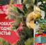 Время волшебства: сызранцев позвали наполнить «Коробку новогоднего счастья» - КТВ-ЛУЧ