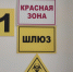 Летучие мыши принесли абсолютно новый вид коронавируса: предыдущий вирус убил миллионы - КТВ-ЛУЧ