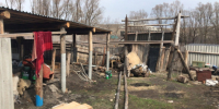Жуткое убийство в Тумкино: подросток с отклонениями зарубил топором 14-летнюю девочку - КТВ-ЛУЧ