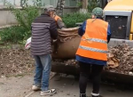 Уборка после уборки: сызранские коммунальщики массово зачищают дворы после городских субботников – видео