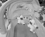 С новорождённым малышом сегодня простились: родные не могут проснуться от страшного сна, а Бастрыкин пообещал разобраться