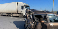 Трагедия под Сызранью: фура с арбузами убила трех человек - первые фото и видео с места жуткой аварии - КТВ-ЛУЧ