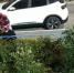 Видео грабежа на Монгоре: на молодого юношу неожиданно обрушился град ударов - КТВ-ЛУЧ