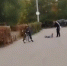 Ногой по голове: отец маленькой девочки на глазах у людей жестоко избил чужого подростка - КТВ-ЛУЧ