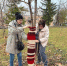 Деревья в Новокашпирском заиграли яркими красками - MySyzran.Ru