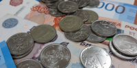 Россиян обязали сжигать трупы своих животных: за отказ - штраф в 5 000 рублей - КТВ-ЛУЧ