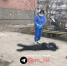 В Самарской области девушка погибла при падении с 15-го этажа - КТВ-ЛУЧ