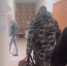 СК обнародовал видео задержания замначальника БСМЭ по делу о покойниках - КТВ-ЛУЧ