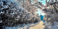 Народные приметы на 15 февраля: куда не стоит класть деньги, чтобы не обнищать и как привлечь счастье на весь год - КТВ-ЛУЧ