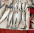 Срочно меняем меню: назван продукт, который спасает от рака - КТВ-ЛУЧ