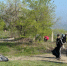 Жителям Сызрани назовут даты больших уборок в городе - КТВ-ЛУЧ