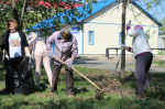 Жителям Сызрани озвучили даты общегородских субботников
