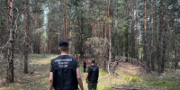 Обнаружена пропавшая в Самарской области трехлетняя девочка Луиза - КТВ-ЛУЧ
