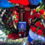 На могиле - тысяча роз: в Самарской области простились с погибшим на СВО Николаем Шараповым, позывной - Велес - КТВ-ЛУЧ