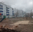 Жильцы двора сразу подняли крик и схватились «за кобуру»: чем недовольны люди и что ответили власти - КТВ-ЛУЧ
