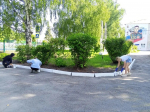Трудотерапия под Сызранью подходит к концу: время подводить итоги